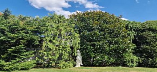 Natur pur